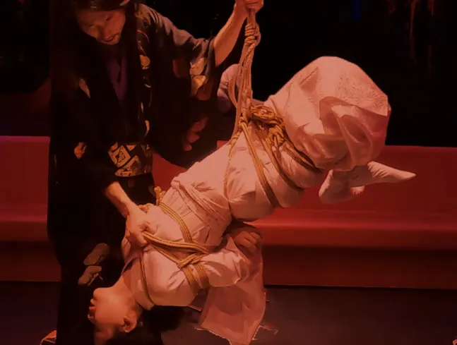 番町皿屋敷のお菊さんやります👘