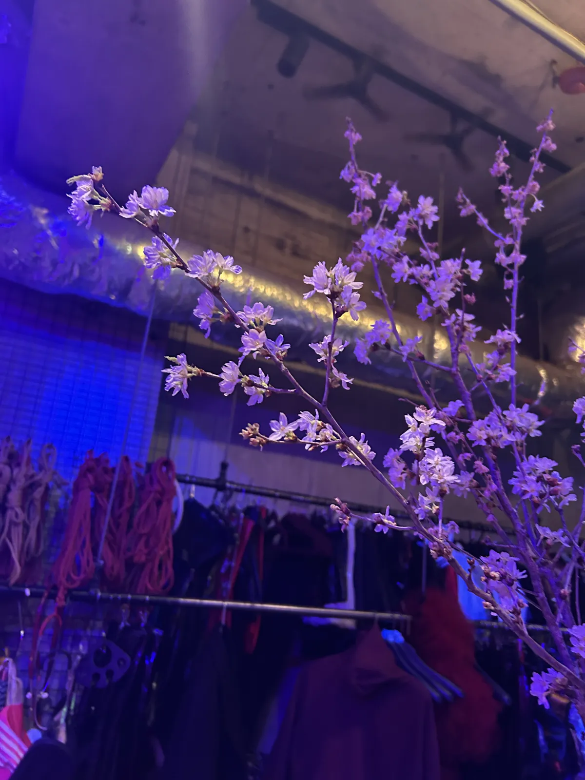 お待ちしてます☺️