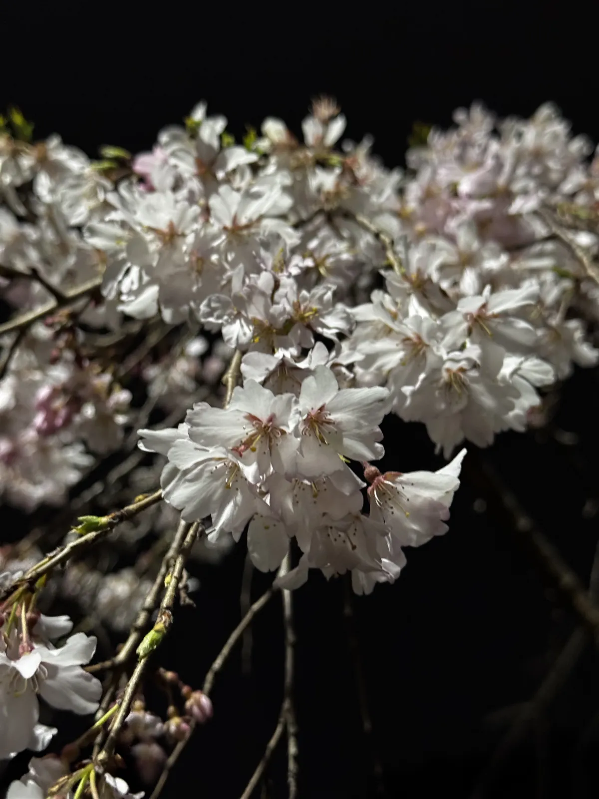 本日出勤です👠